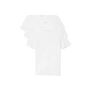 T-shirt Lacoste Lounge 3 Pack Plain Cotton T-Shirt White