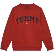 Sweater Tommy Hilfiger KB0KB09119