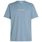 T-shirt Korte Mouw Calvin Klein Jeans K10K111346