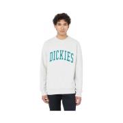 Sweater Dickies Aitkin sweatshirt