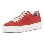 Lage Sneakers Gabor Sneaker