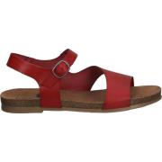 Sandalen Cosmos Comfort Sandalen