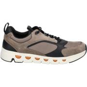 Lage Sneakers Geox Sneaker