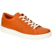 Nette Schoenen Ecco -