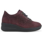 Lage Sneakers Melluso R25656W-240663