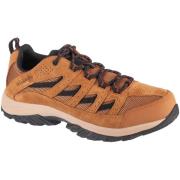 Wandelschoenen Columbia Crestwood