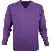 Sweater William Lockie V-Hals Lamswol Paars