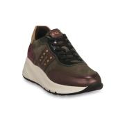 Sneakers NeroGiardini NERO GIARDINI 613 ETOILE BORDO'