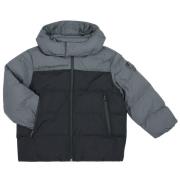 Donsjas Emporio Armani EA7 WINTER JACKET