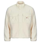 Blazer Dickies PINESDALE JACKET