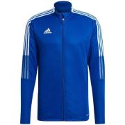 Windjack adidas -