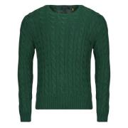 Trui Polo Ralph Lauren PULL COL ROND EN MAILLE TORSADEE