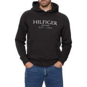 Sweater Tommy Hilfiger MW0MW35523