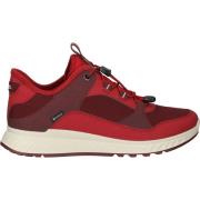 Lage Sneakers Ecco Sneaker