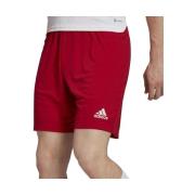 Korte Broek adidas -