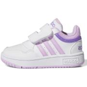 Sneakers adidas -