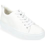 Lage Sneakers Paul Green Sneaker