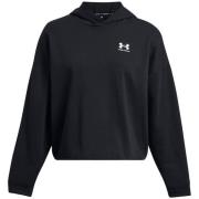 Sweater Under Armour -