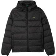 Windjack Lacoste Quilted Puffer Jacket Black