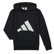 Sweater adidas JC7505