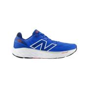 Hardloopschoenen New Balance Fresh X 880V14