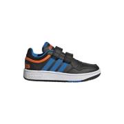 Sneakers adidas Hoops 30 C