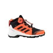 Wandelschoenen adidas Terrex