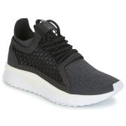 Hardloopschoenen Puma TSUGI NETFIT V2 EVOKNIT