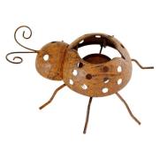 Kandelaars, kaarshouders Signes Grimalt Lieveheersbeestje Kaarshouder