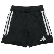 Korte Broek adidas TIRO23 CBTRSHOY