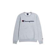 Sweater Champion -