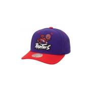 Pet Mitchell And Ness -