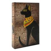 Manden en dozen Signes Grimalt Kattenboekendoos