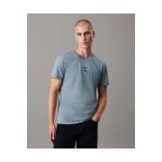 T-shirt Korte Mouw Calvin Klein Jeans J30J325649