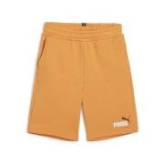 Korte Broek Puma -