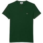 T-shirt Lacoste Cotton Pima Crew Neck T-Shirt Pine Green