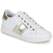 Lage Sneakers Geox D JAYSEN