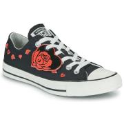 Lage Sneakers Converse CHUCK TAYLOR ALL STAR