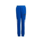 Trainingsbroek adidas -