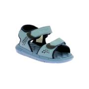 Sandalen Kickers Jumangap