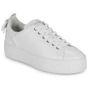 Lage Sneakers NeroGiardini E306521D-707