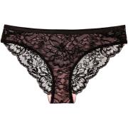 Tanga's Triumph AMOURETTE CHARM Braziliaanse