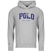 Sweater Polo Ralph Lauren SWEATSHIRT CAPUCHE EN MOLLETON