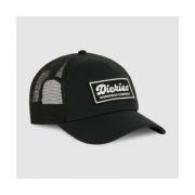 Pet Dickies Lewistown trucker