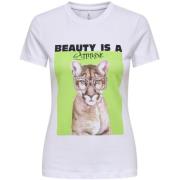 T-shirt Only -