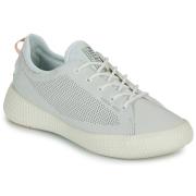 Lage Sneakers Palladium PALLANOVA LTH