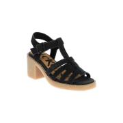 Sandalen Kickers Kick Volyne