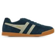 Sneakers Gola Harrier Suede