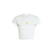 T-shirt Korte Mouw Calvin Klein Jeans -