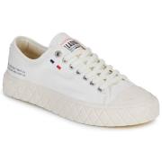 Lage Sneakers Palladium PALLA ACE CVS